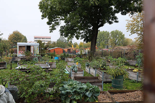 Symbolbild Gutsgarten